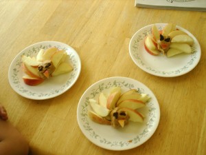 turkey apples